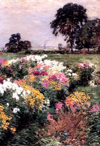 En utstilling av blomster, 1903